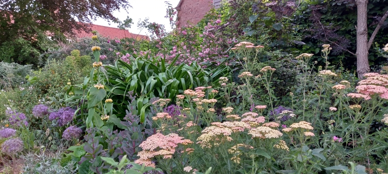 Whatton Gardens