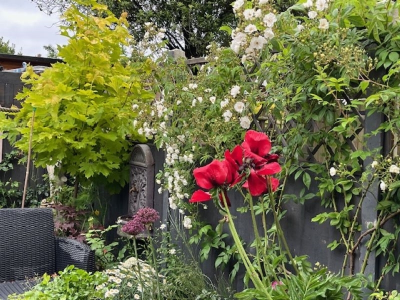 Lisbon Cottage