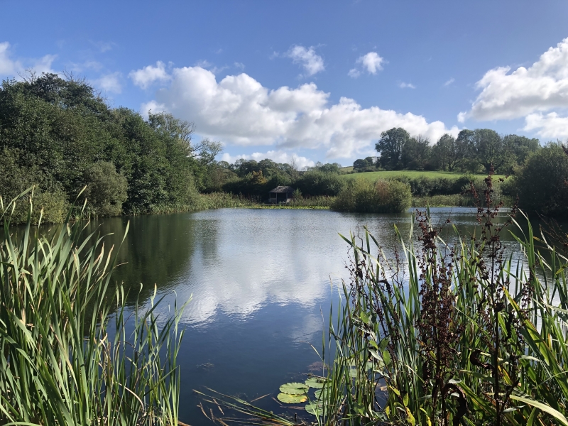 Dyffryn Mill