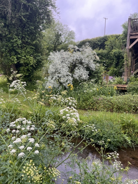 Dyffryn Mill