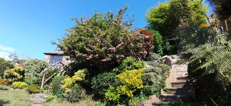 Polruan Gardens