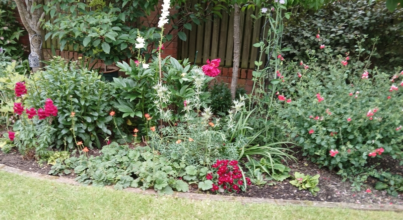 6 Redwood Close