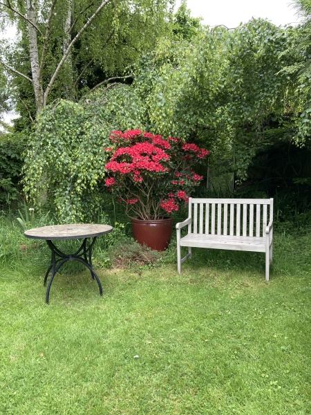 The Hollies, 36 Symonds Lane