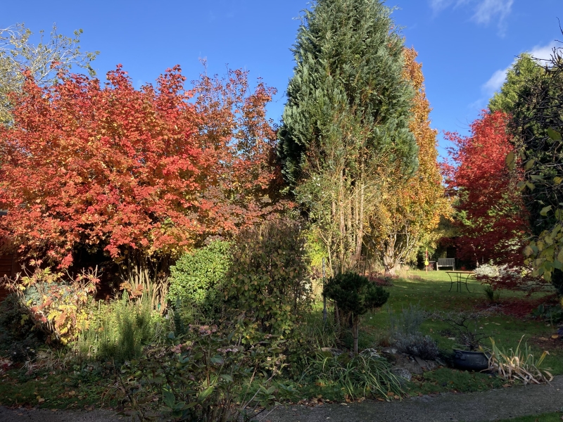 The Hollies, 36 Symonds Lane