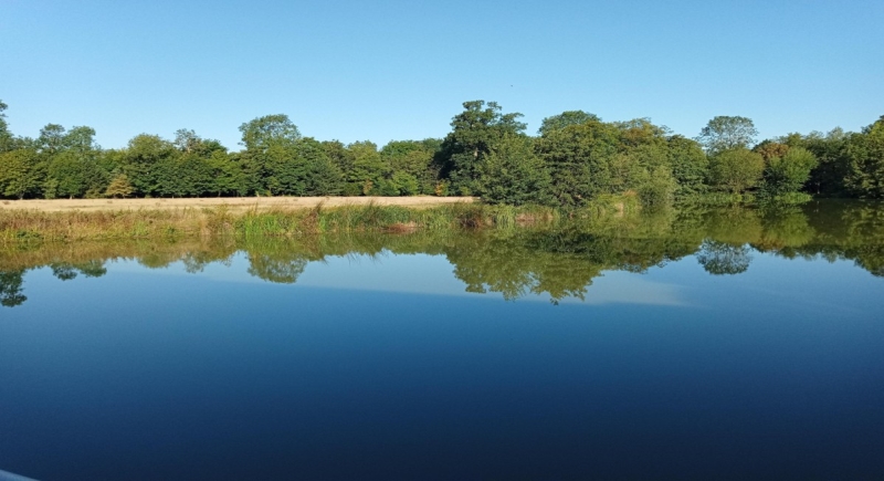 Wellcome Genome Campus image