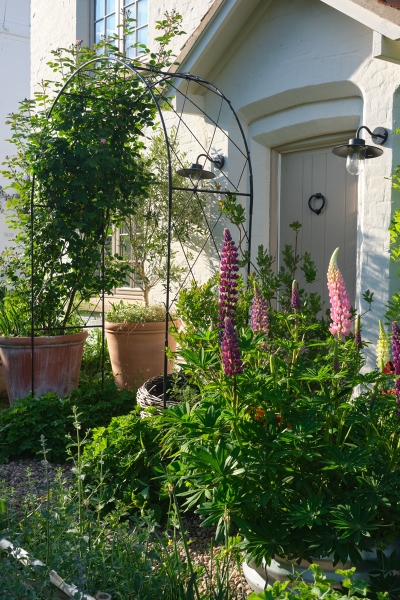 Laburnum Cottage image
