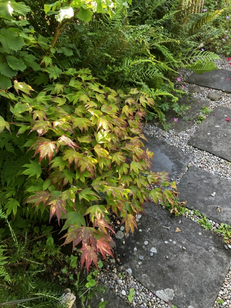 Upper Mill Gardens image