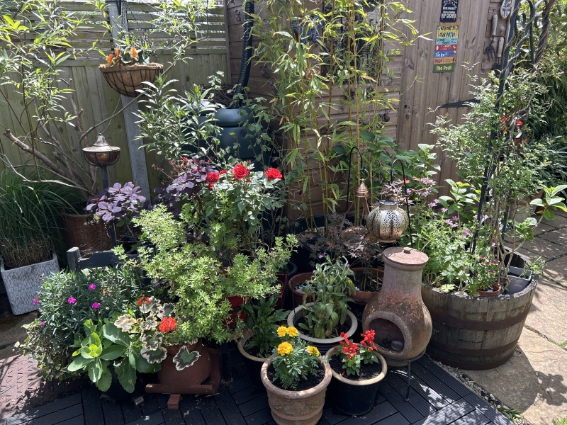 36 Garfield Road image