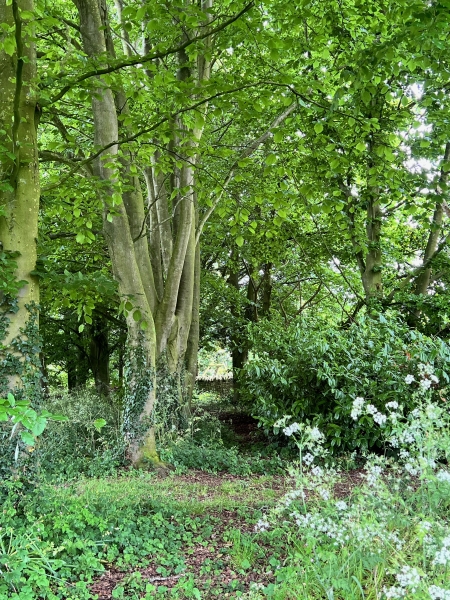 Springfield House, Collyweston