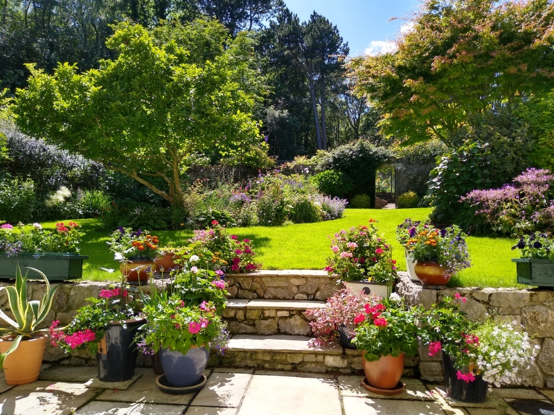 Llys Euryn Cottage image