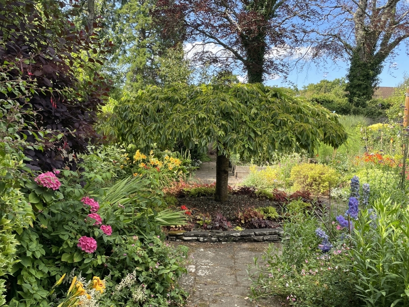 107 Cyncoed Road image