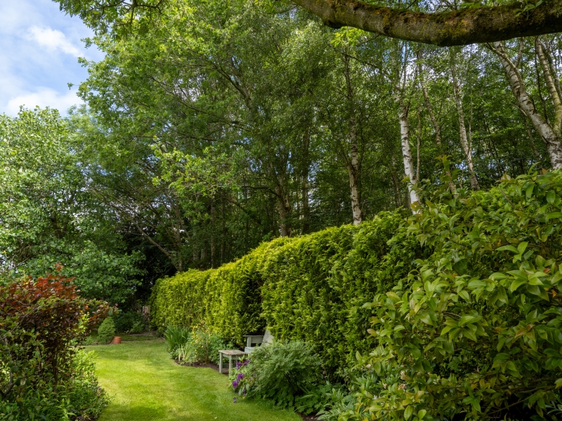 Little Heath Green Cottage