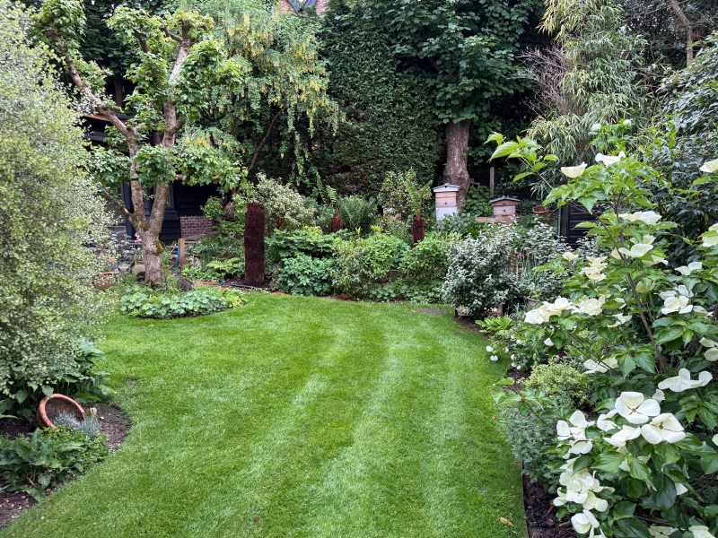 10 Upper Rose Hill image