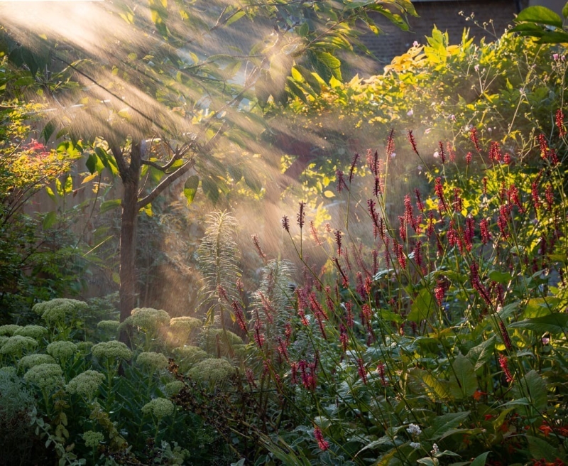 100 Knollys Road image