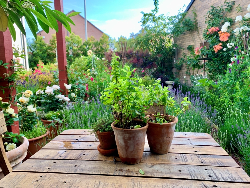 1 Wilds Pasture image