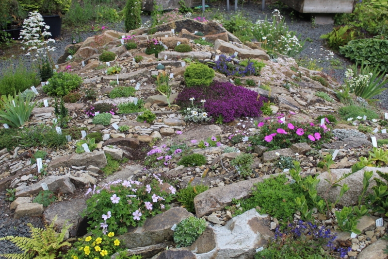 Hartside Nursery Garden