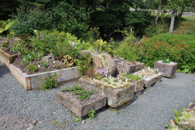 Hartside Nursery Garden