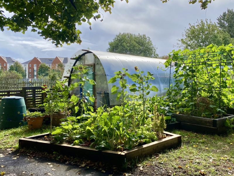 Grangetown Kitchen Garden image