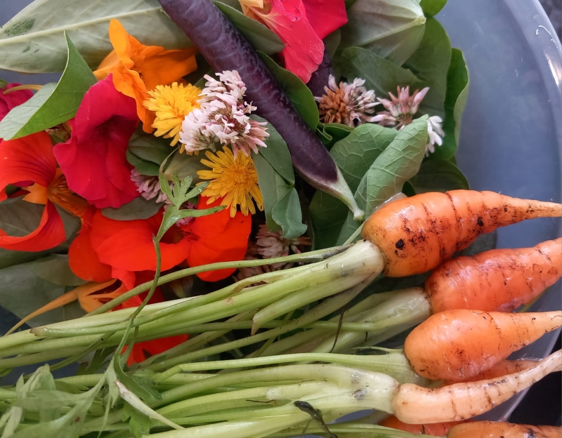Grangetown Kitchen Garden