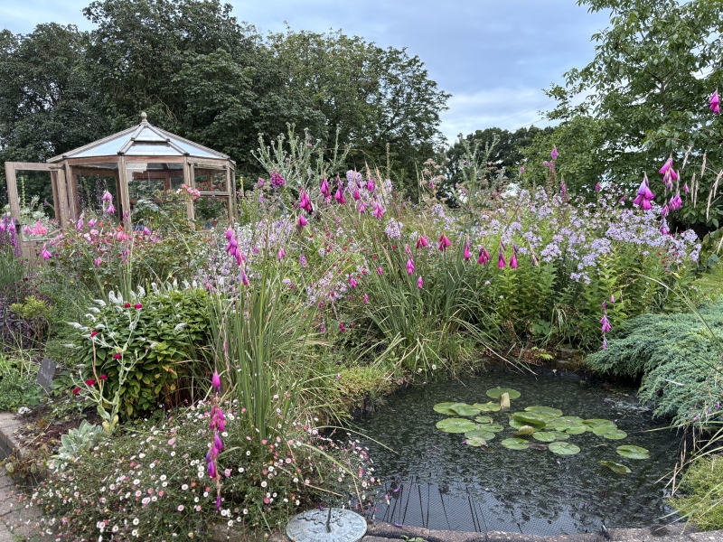 The Lodge Brascote image