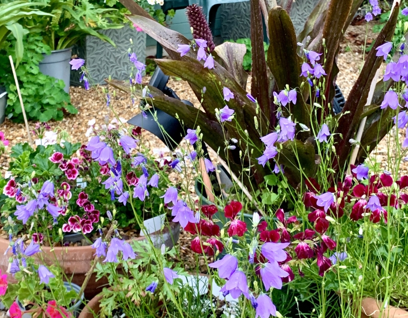 25 Parklands Road image