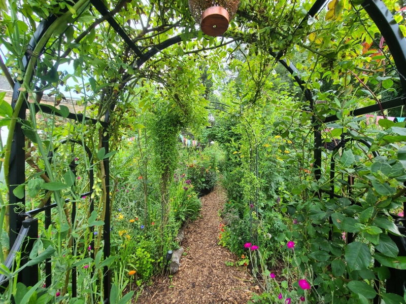 42 St Mary’s Field