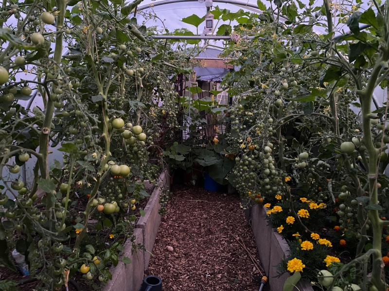 42 St Mary’s Field