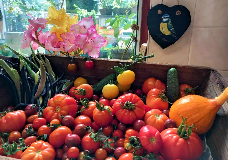 42 St Mary’s Field