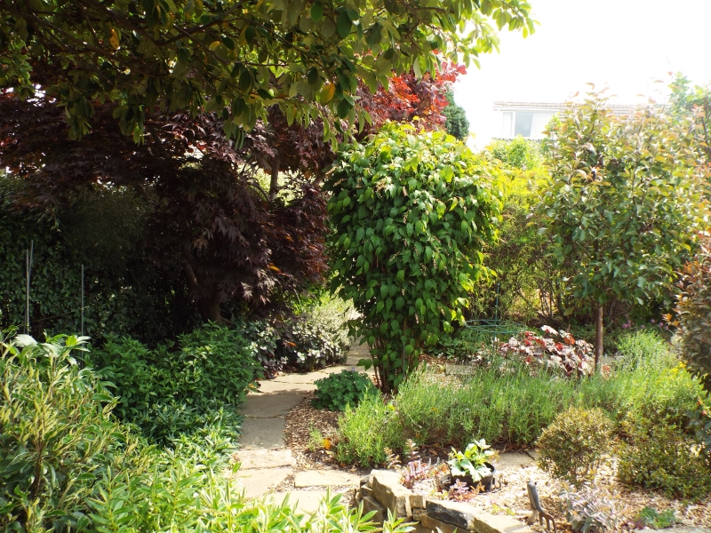 148 Healey Wood Road