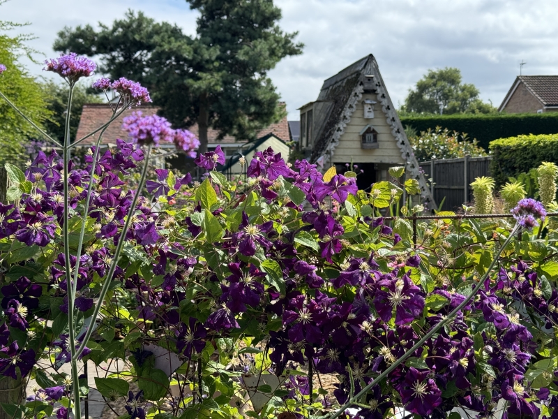 Hinckley Gardens
