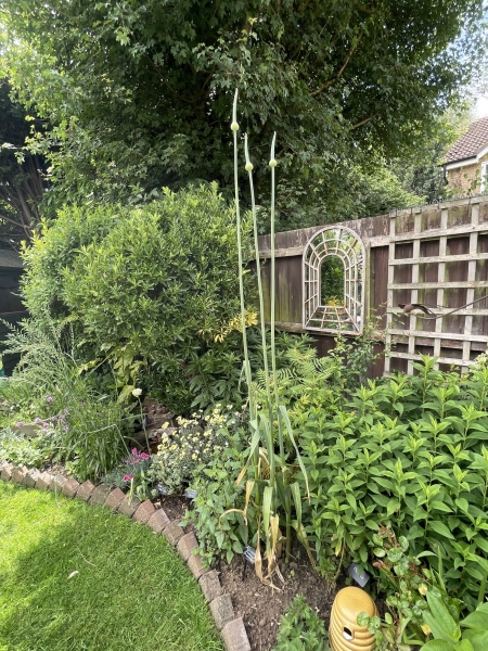 Hinckley Gardens