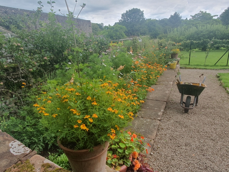 Morland House Gardens