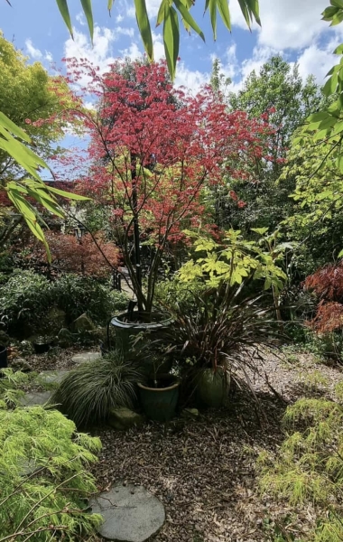 46 Sandford Road image