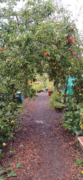 Whitby Park Community Garden