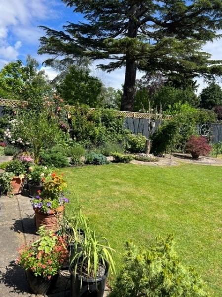 Juniper House