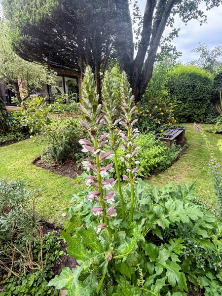 16 Whitefield Close