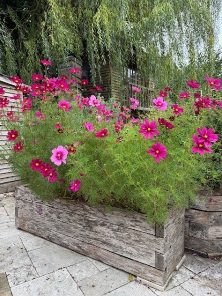 203 Northridge Way image