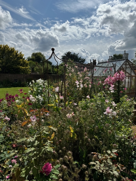 Link Hill House image