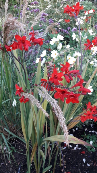 1 Beeches Farm Cottages image