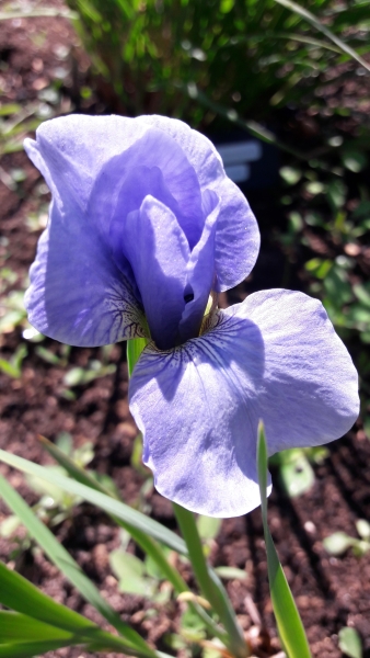 1 Beeches Farm Cottages