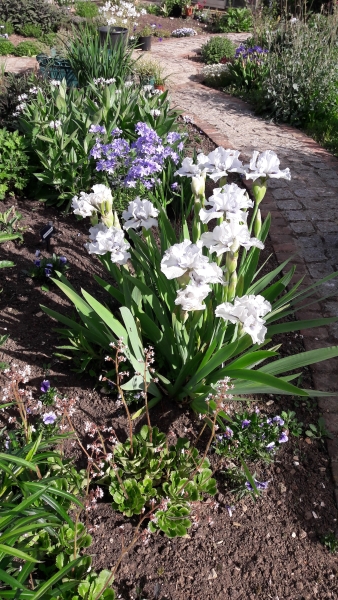 1 Beeches Farm Cottages