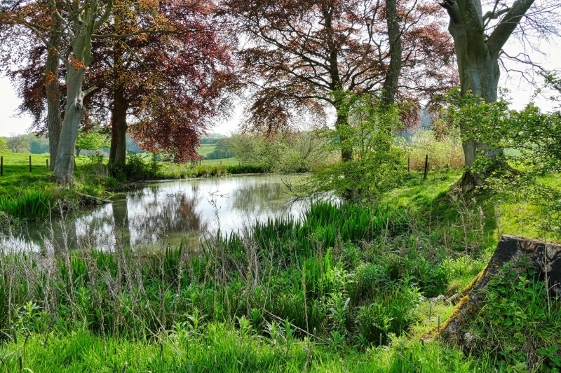 Oxcombe Manor