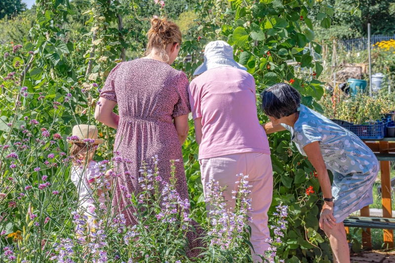 Charlton Road Allotments
