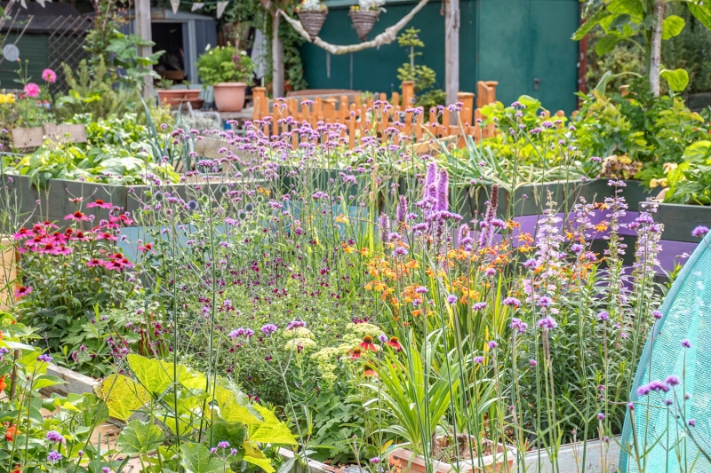Charlton Road Allotments