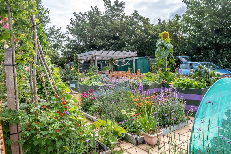 Charlton Road Allotments