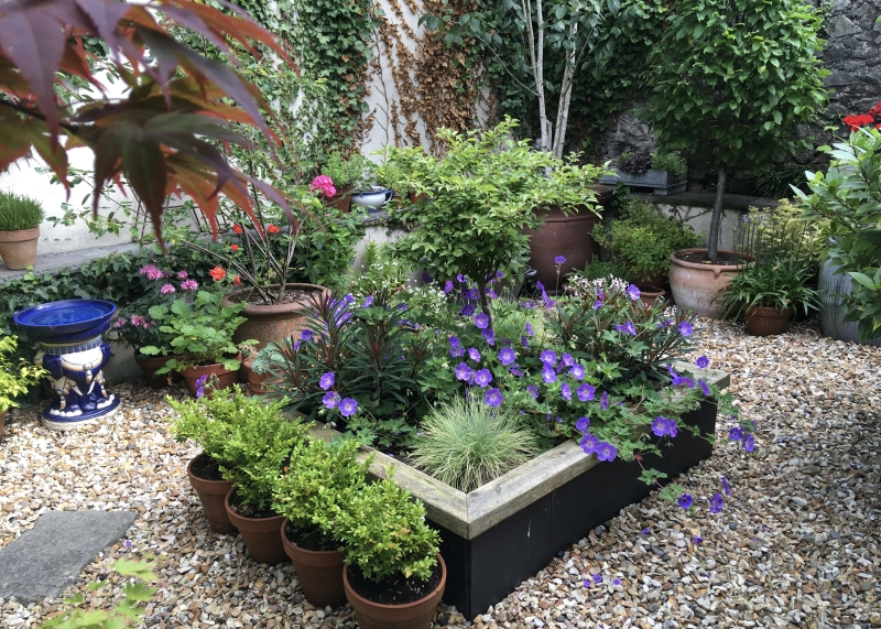 6 Trafalgar Road image