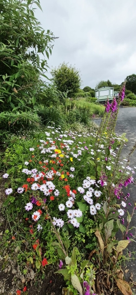 Bryn Uchel Caravan Park