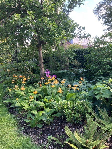 9 Bedford View