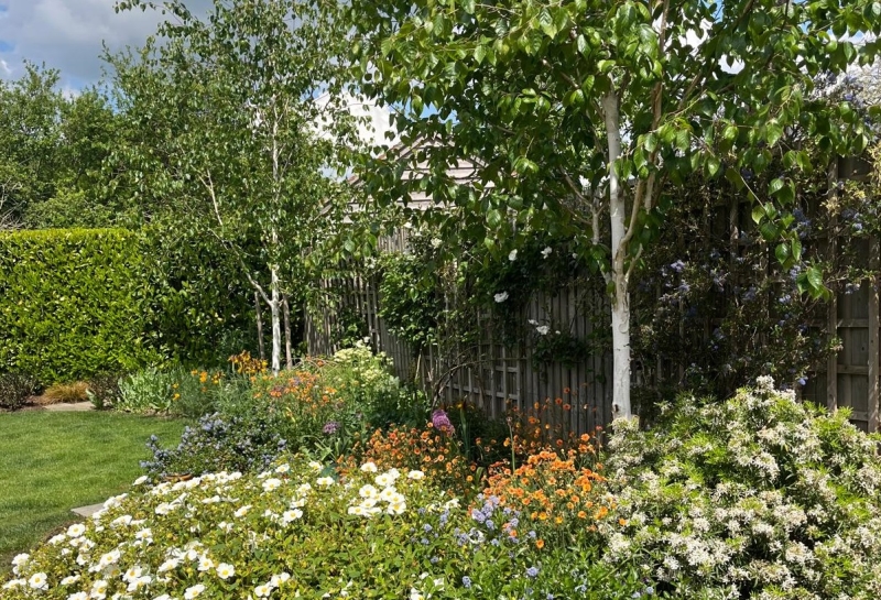 Cherry Cottage image