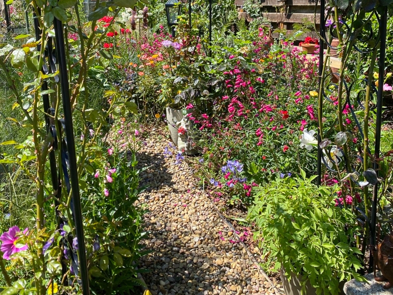 6 Clease Meadows image